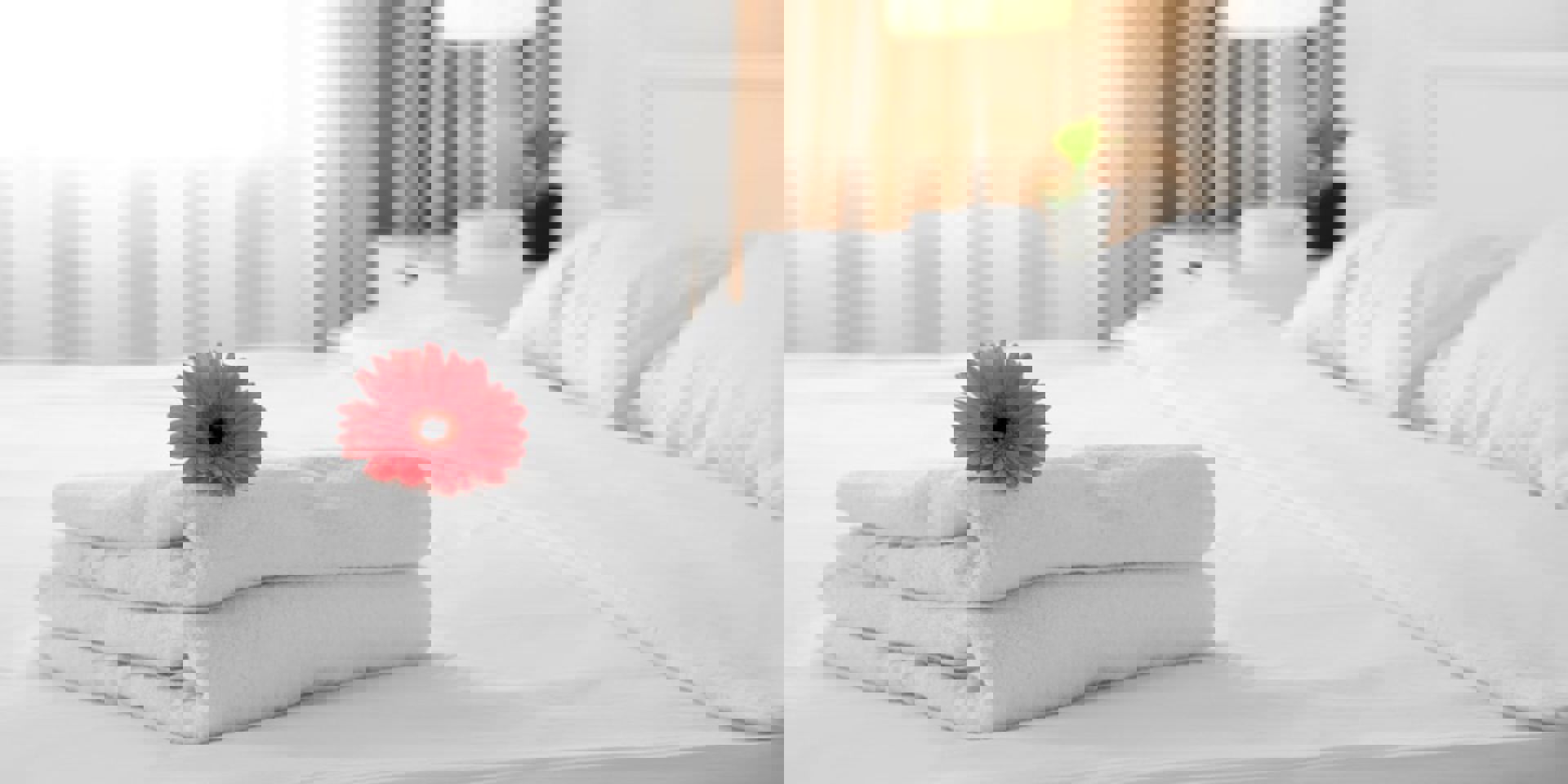 Airbnb Banner